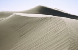 Photo of Sahara sand dunes