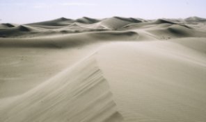 Photo of Sahara sand dunes