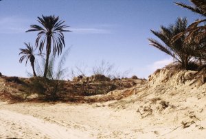 Photo of Sahara road, Tunisia, 1982